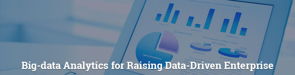 Big data Analytics for Raising Data Driven Enterprise 